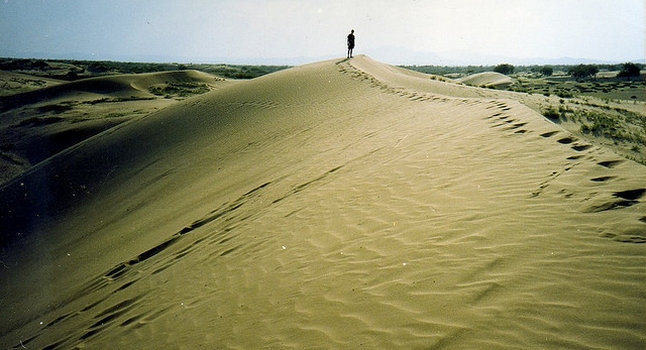 Mongolian Desert